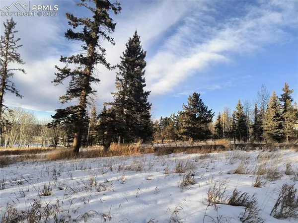 a view of outdoor space with trees