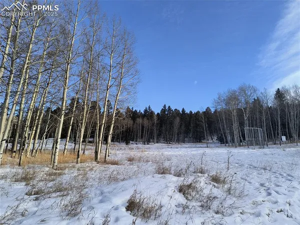 $179,900 | Will Scarlet Drive, Divide, CO 80814