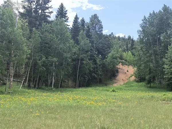 a view of an outdoor space and a yard