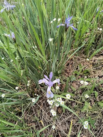 a view of outdoor space and yard