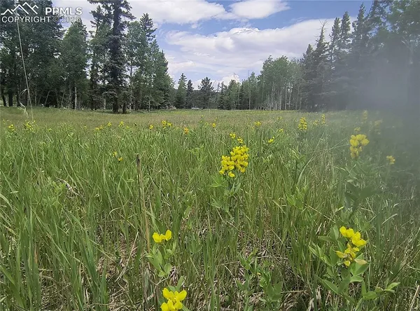 a view of outdoor space with deck and yard