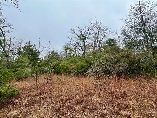 a view of a dry yard with trees