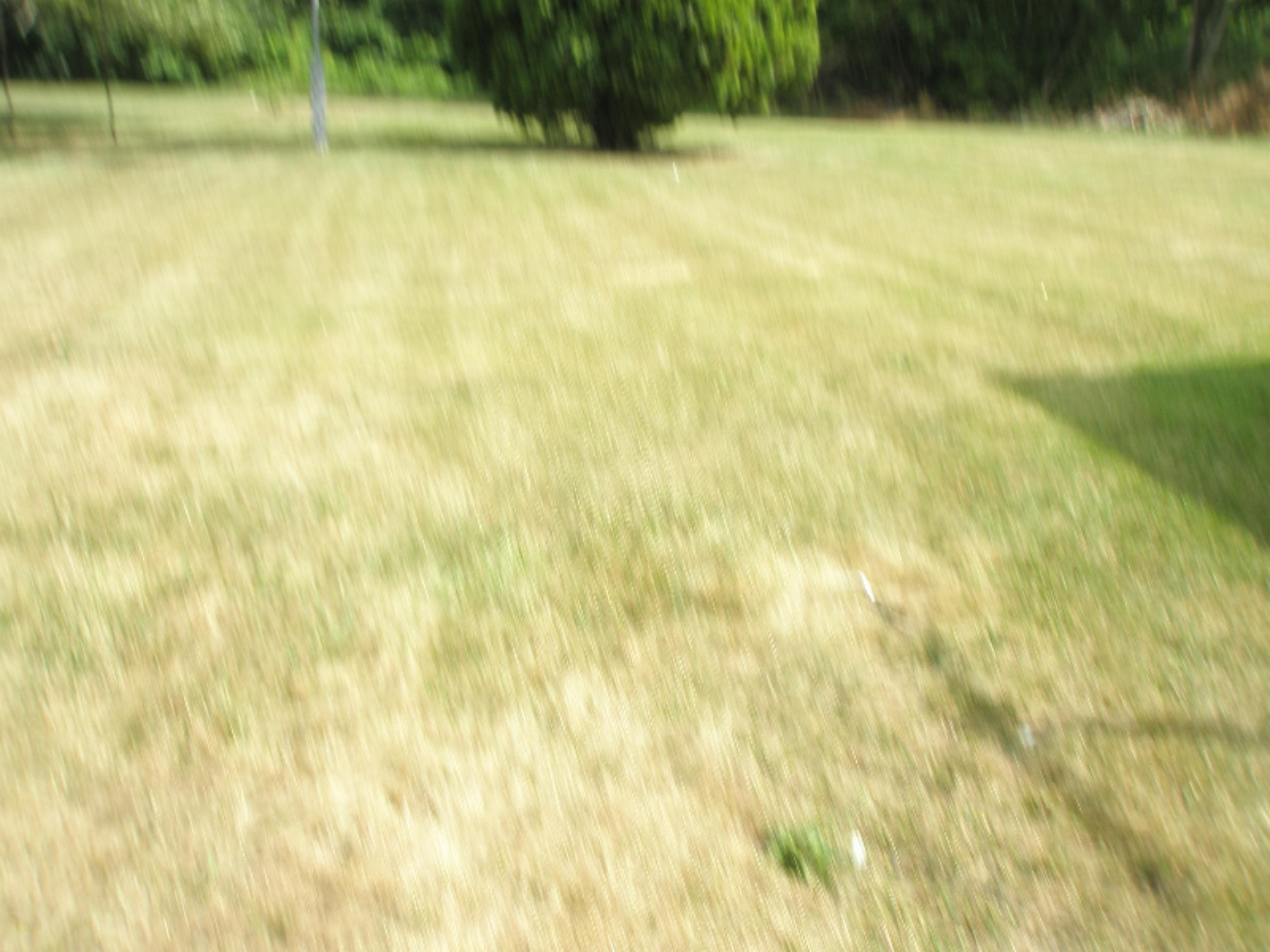 241 Ryno Road Coloma, MI 49038 - Photo 4 of 14 421 ryno rd 583