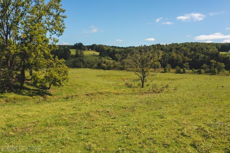 Tbd Laurel Branch Road Northwest Floyd, VA 24091 - Photo 17 of 22 Gallery Image 17
