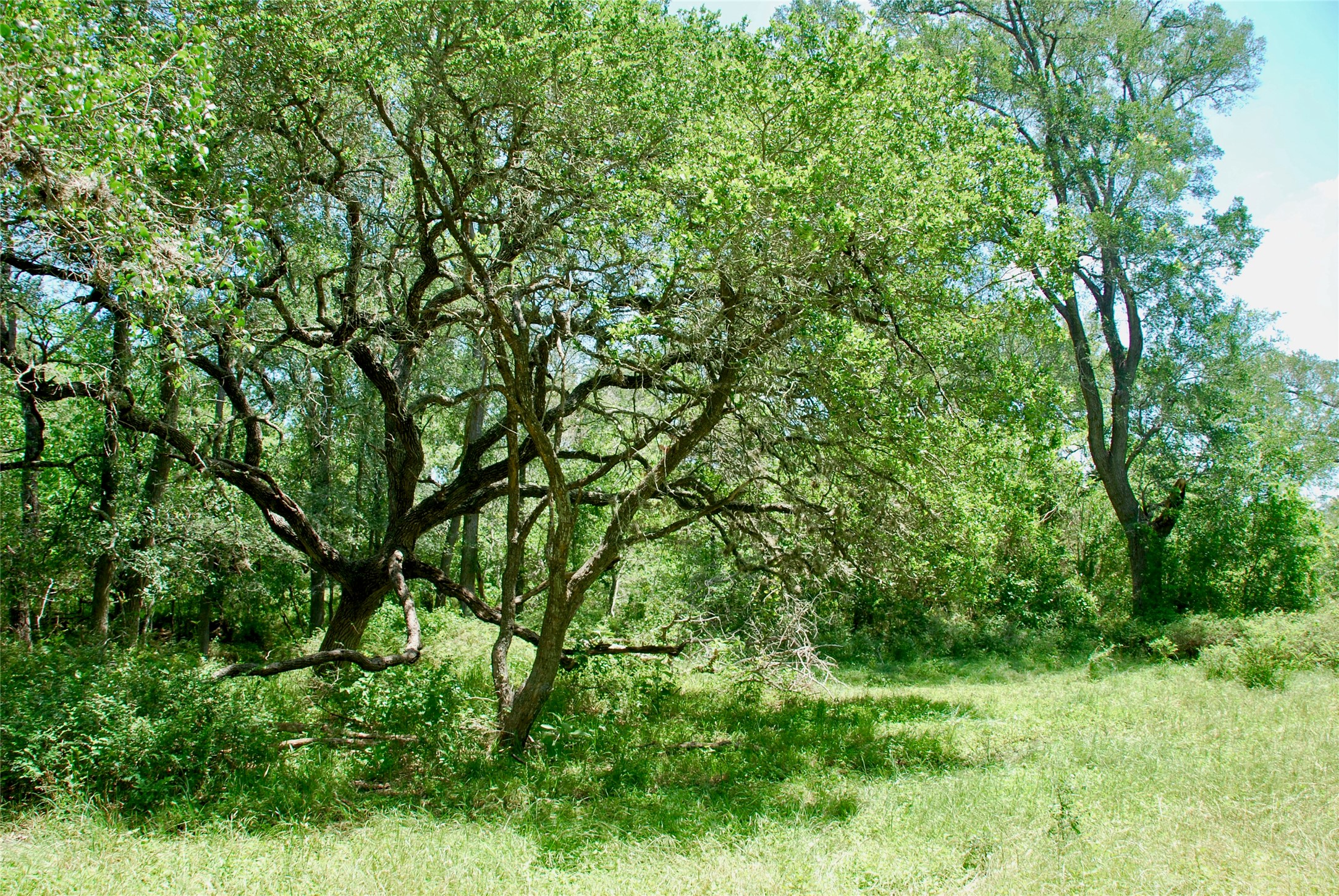 2340 Langdon Road Weimar, TX 78962 - Photo 18 of 26