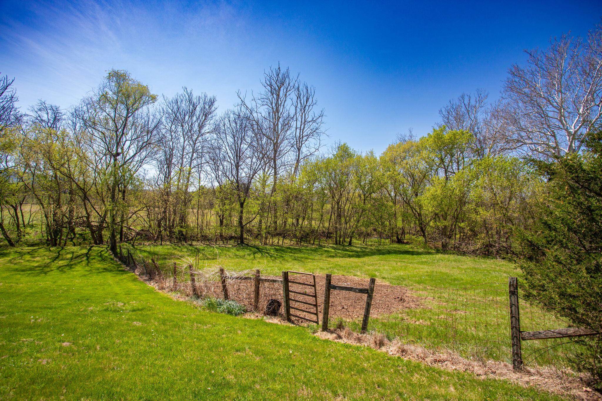 13004 Indian Trail Road Broadway, VA 22815 - Photo 46 of 56 a view of a park with large trees