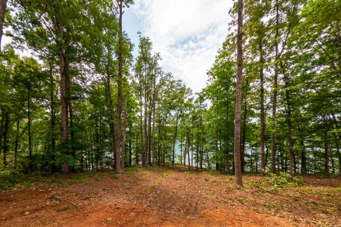 3 Warpath Ridge Trail, Unit 3 Six Mile, SC 29682 - Photo 9 of 11 A tranquil, tree-lined lot offers serene views of the lake through the dense woodland.