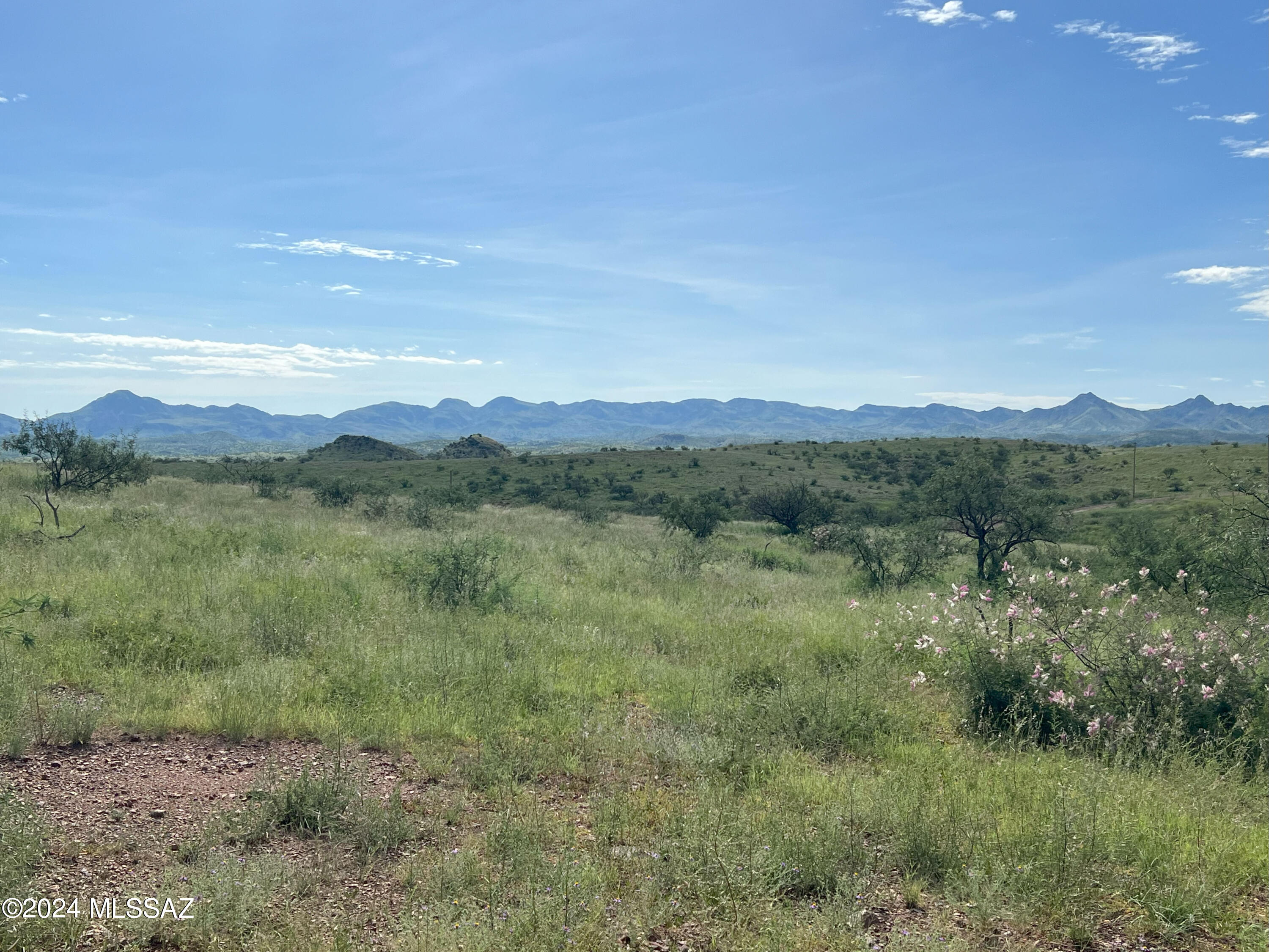 13910 West Jalisco Road Arivaca, AZ 85601 - Photo 2 of 10 a view of a lush green space and mountain view