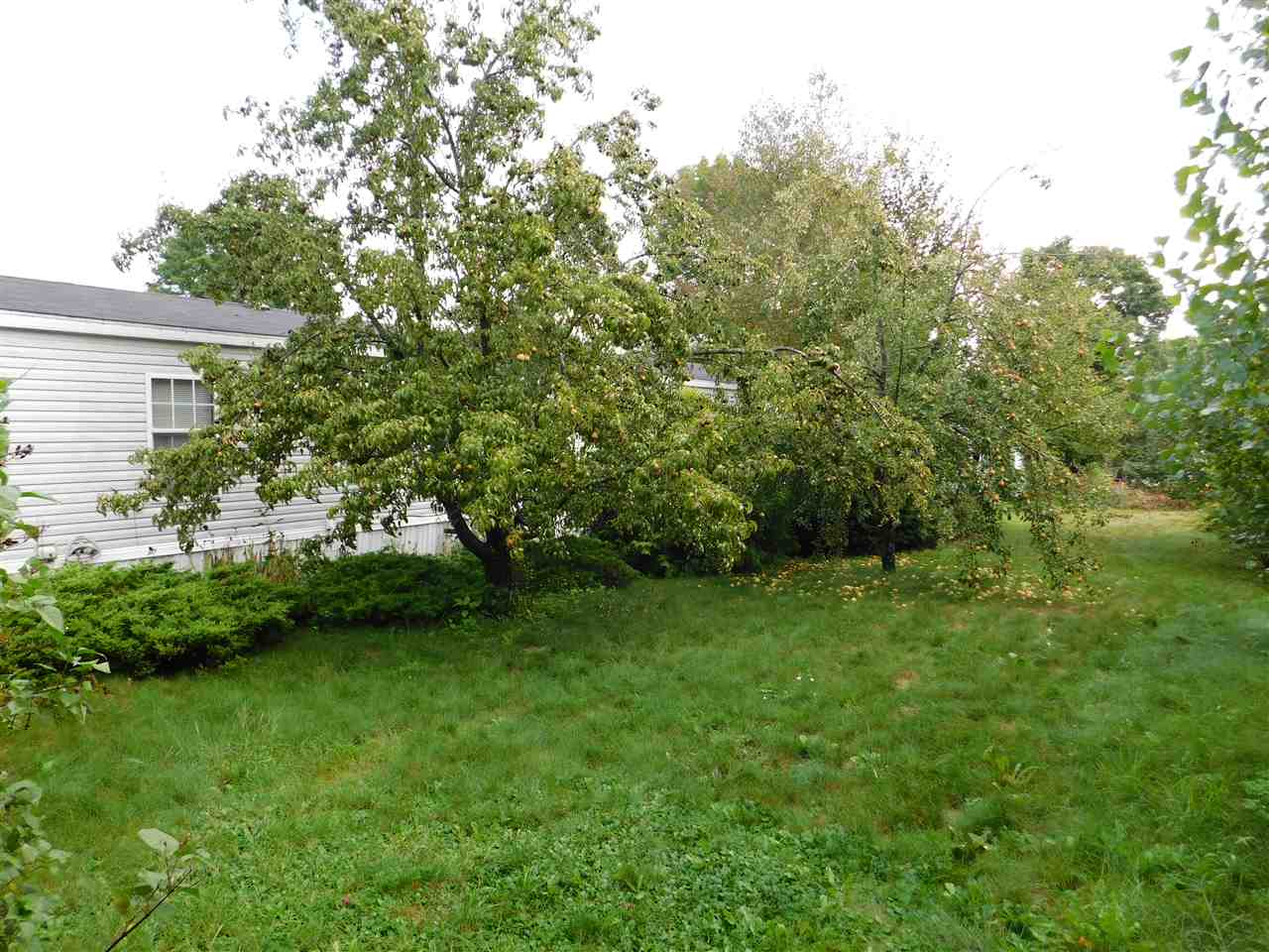 20 Old Henniker Road, Unit 30 Hillsborough, NH 03244 - Photo 9 of 39