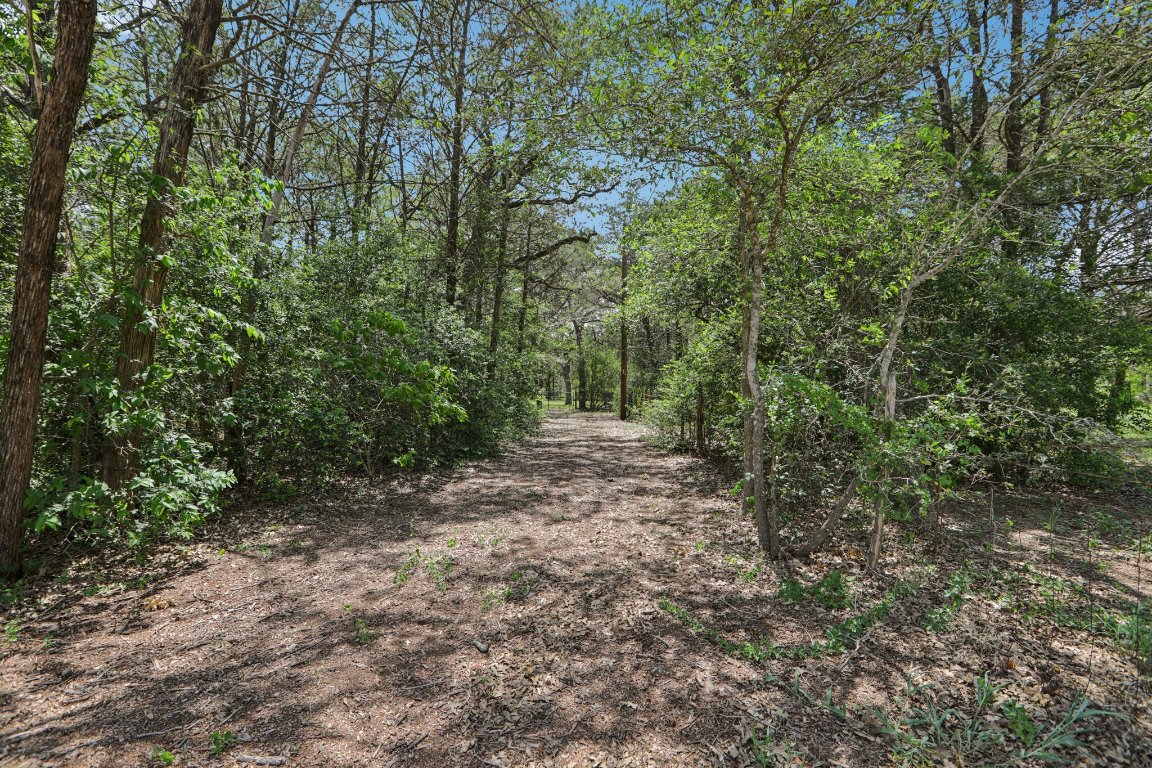 148 Oak Ridge Drive Cedar Creek, TX 78612 - Photo 39 of 40 a view of a forest with trees in the background