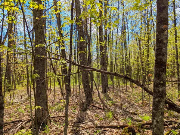 $29,999 | 4 Antler Loop, West Dover, VT 05356