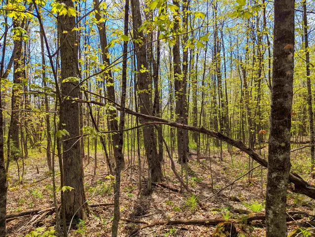 $29,999 | 4 Antler Loop, West Dover, VT 05356