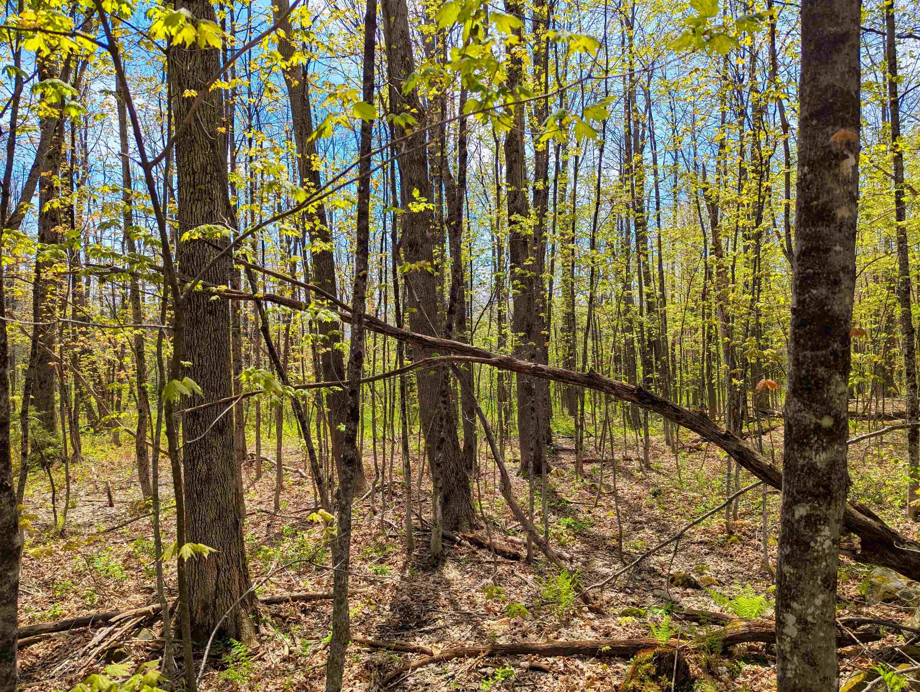 4 Antler Loop West Dover, VT 05356 - Photo 4 of 10