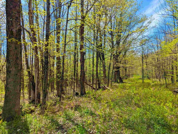 $29,999 | 4 Antler Loop, West Dover, VT 05356