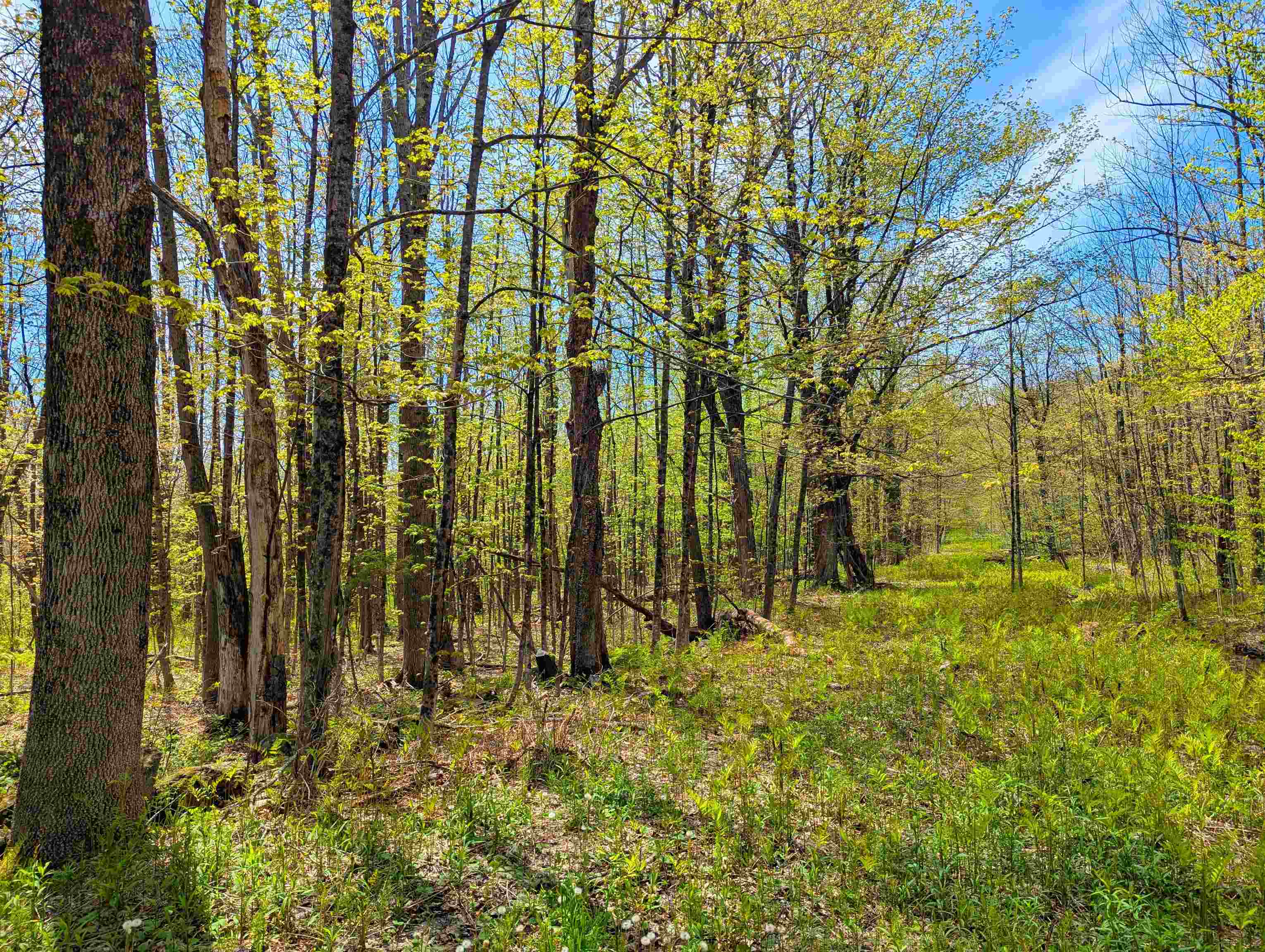 4 Antler Loop West Dover, VT 05356 - Photo 5 of 10