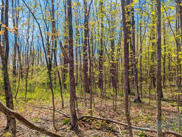 $29,999 | 4 Antler Loop, West Dover, VT 05356