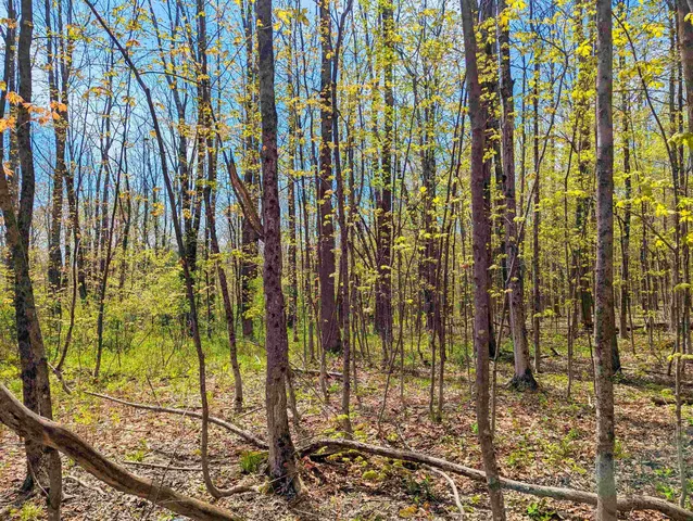 $29,999 | 4 Antler Loop, West Dover, VT 05356