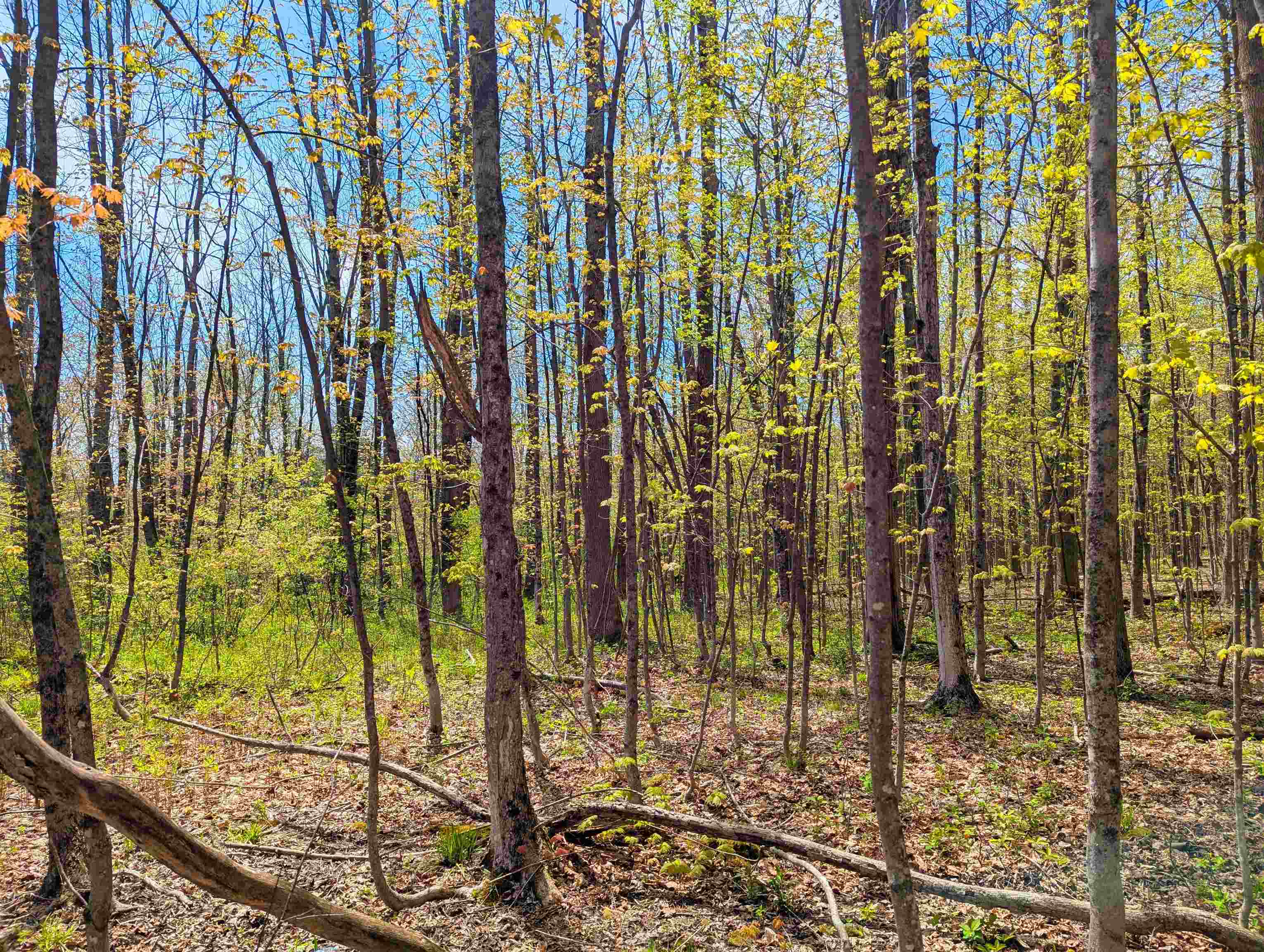 4 Antler Loop West Dover, VT 05356 - Photo 6 of 10