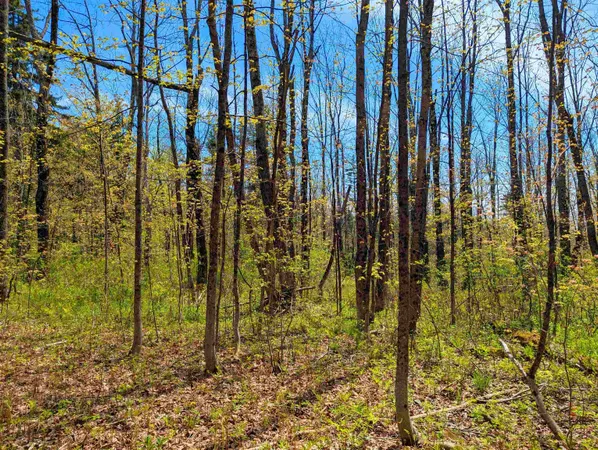 $29,999 | 4 Antler Loop, West Dover, VT 05356