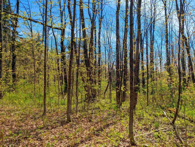 $29,999 | 4 Antler Loop, West Dover, VT 05356