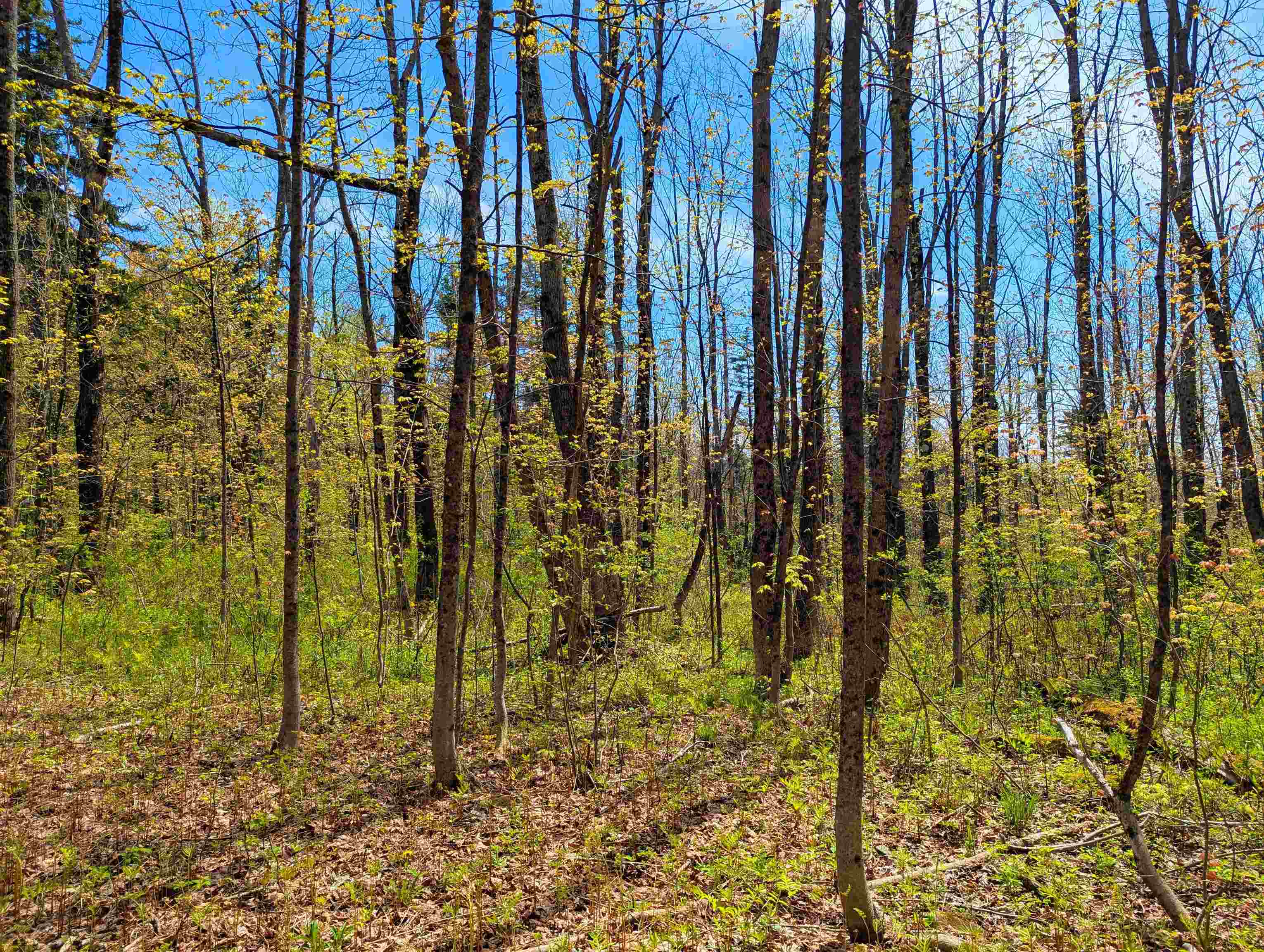 4 Antler Loop West Dover, VT 05356 - Photo 7 of 10