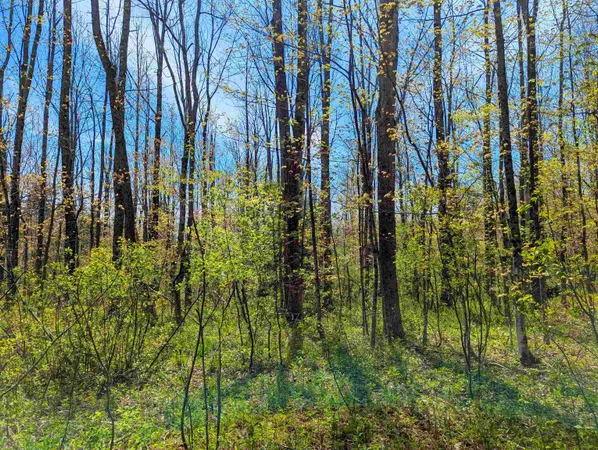 $29,999 | 4 Antler Loop, West Dover, VT 05356