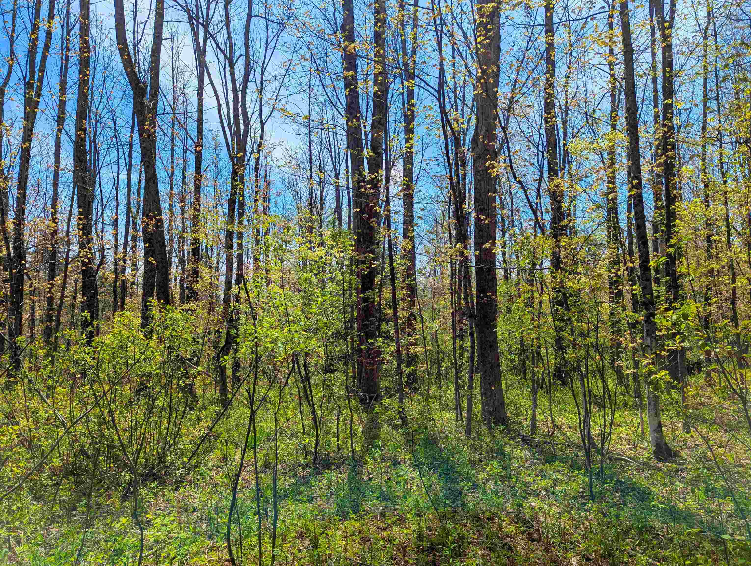 4 Antler Loop West Dover, VT 05356 - Photo 8 of 10