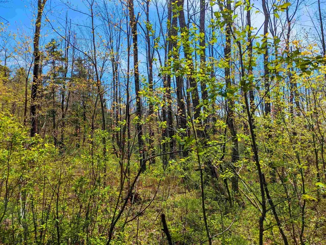 $29,999 | 4 Antler Loop, West Dover, VT 05356