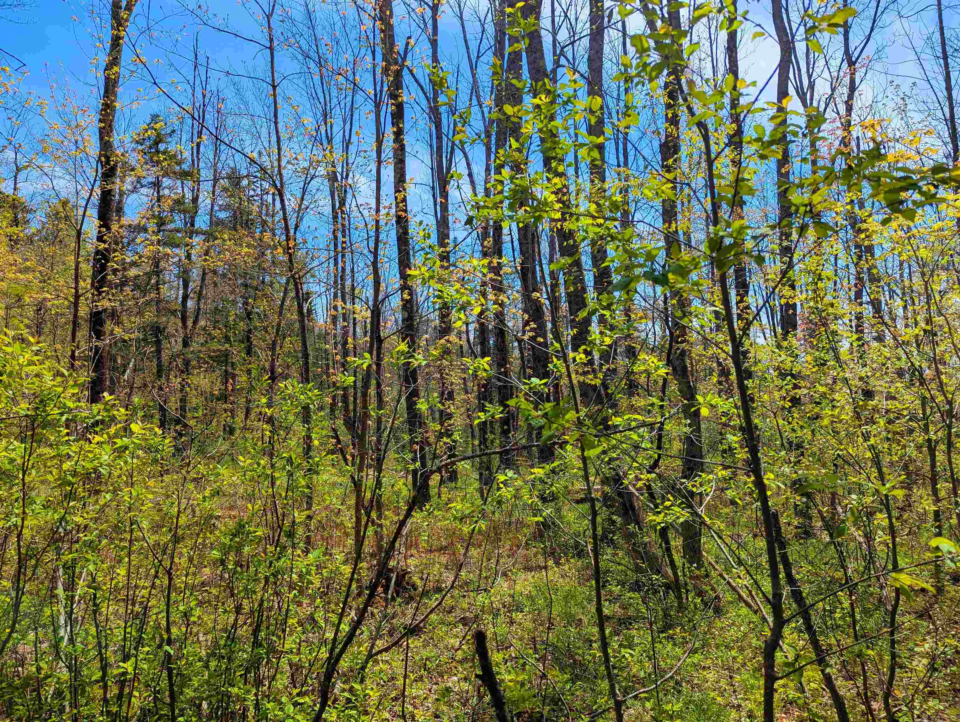 4 Antler Loop West Dover, VT 05356 - Photo 9 of 10