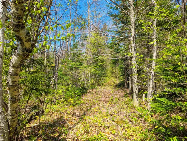 $29,999 | 4 Antler Loop, West Dover, VT 05356