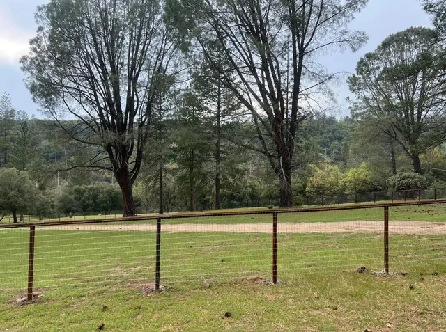a view of a yard with large trees