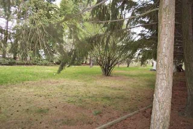811 Bittner Road Yakima, WA 98901 - Photo 8 of 9 a view of a tree in a yard
