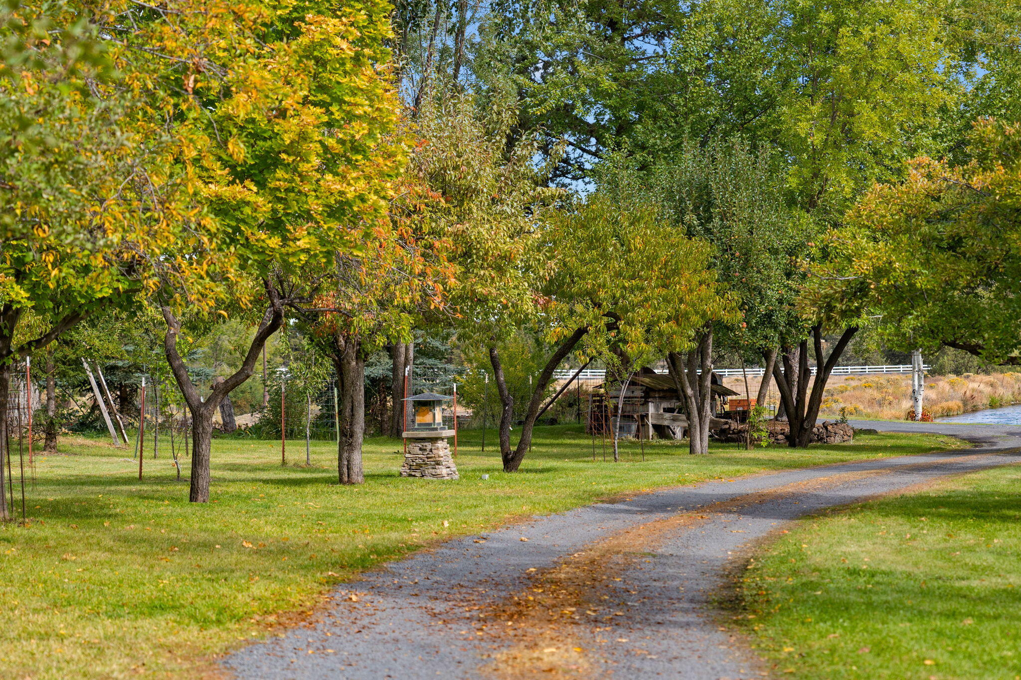 21925 Bear Creek Road Bend, OR 97702 - Photo 64 of 104 Gravel driveway up to the house with non-working mine and mature fruit trees (apple, pear, plum, etc.)