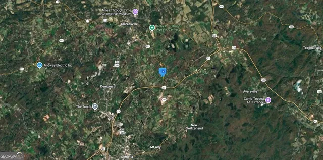 a close up of a plant in a bathroom