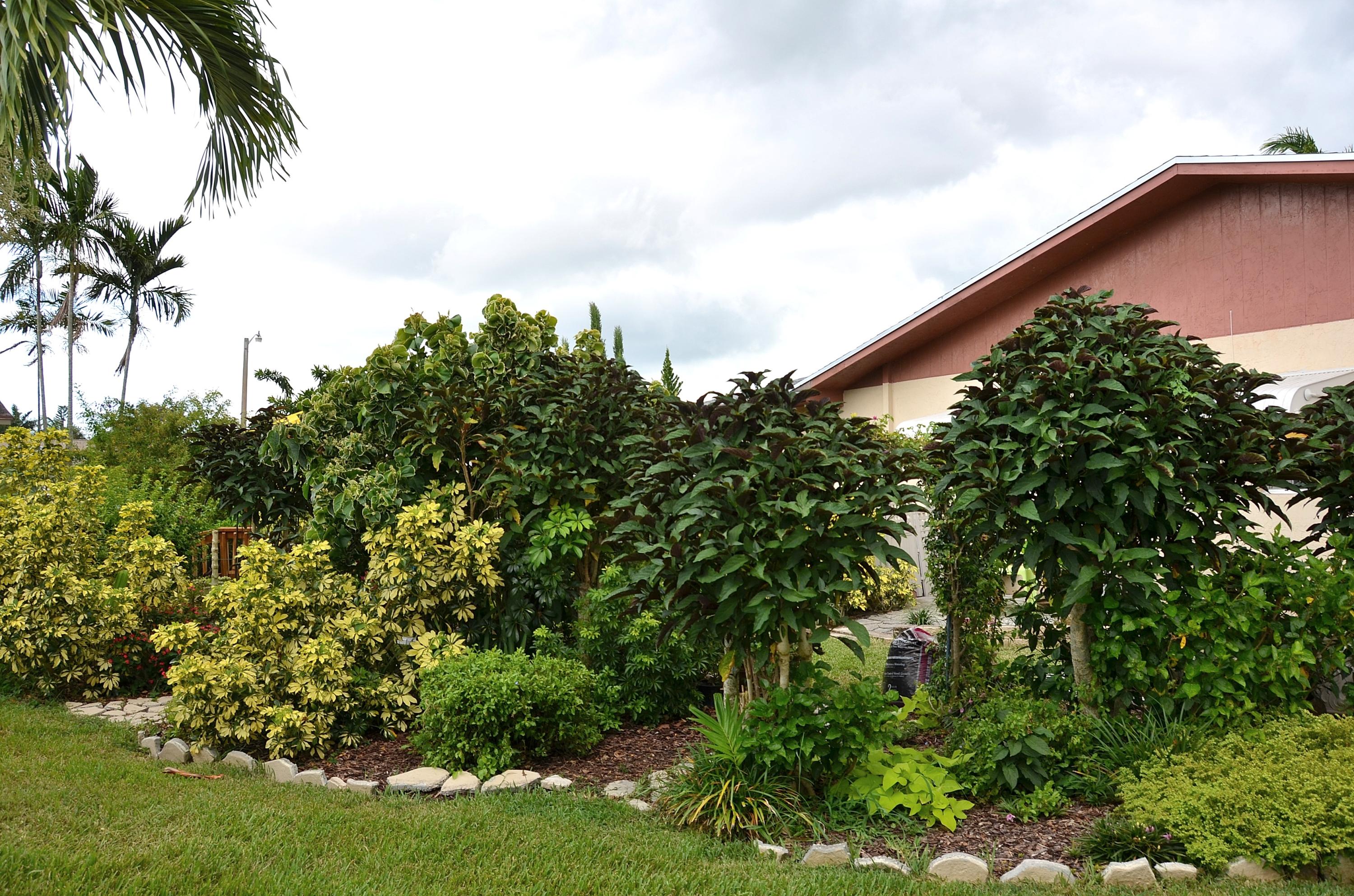 6044 Lasalle Road Delray Beach, FL 33484 - Photo 23 of 23 GARDEN VIEW