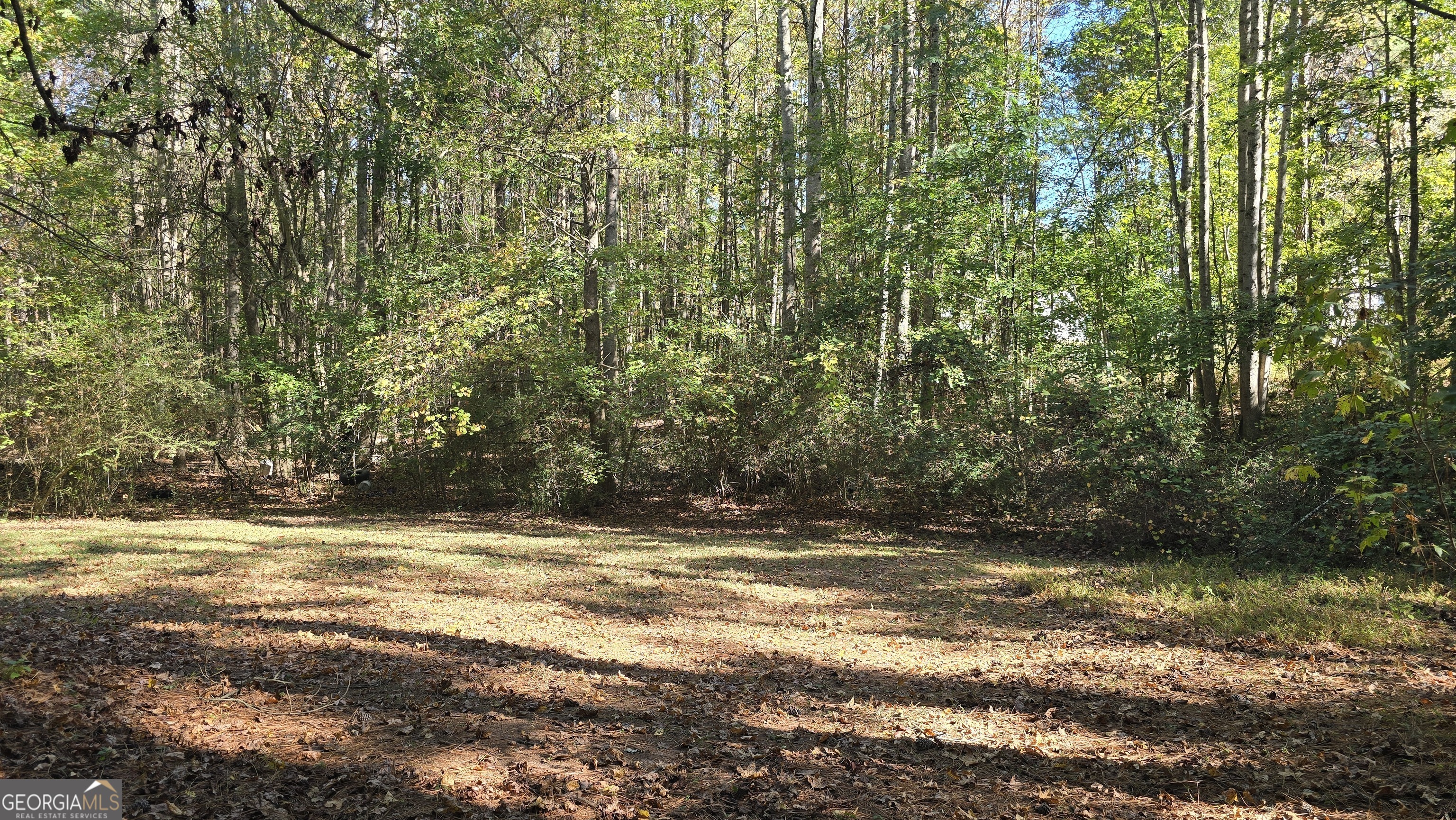 377 Dock Hyde Road Carrollton, GA 30116 - Photo 23 of 31