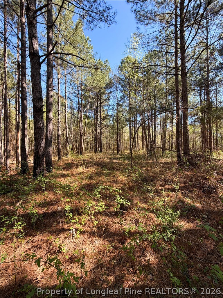 a view of outdoor space with trees