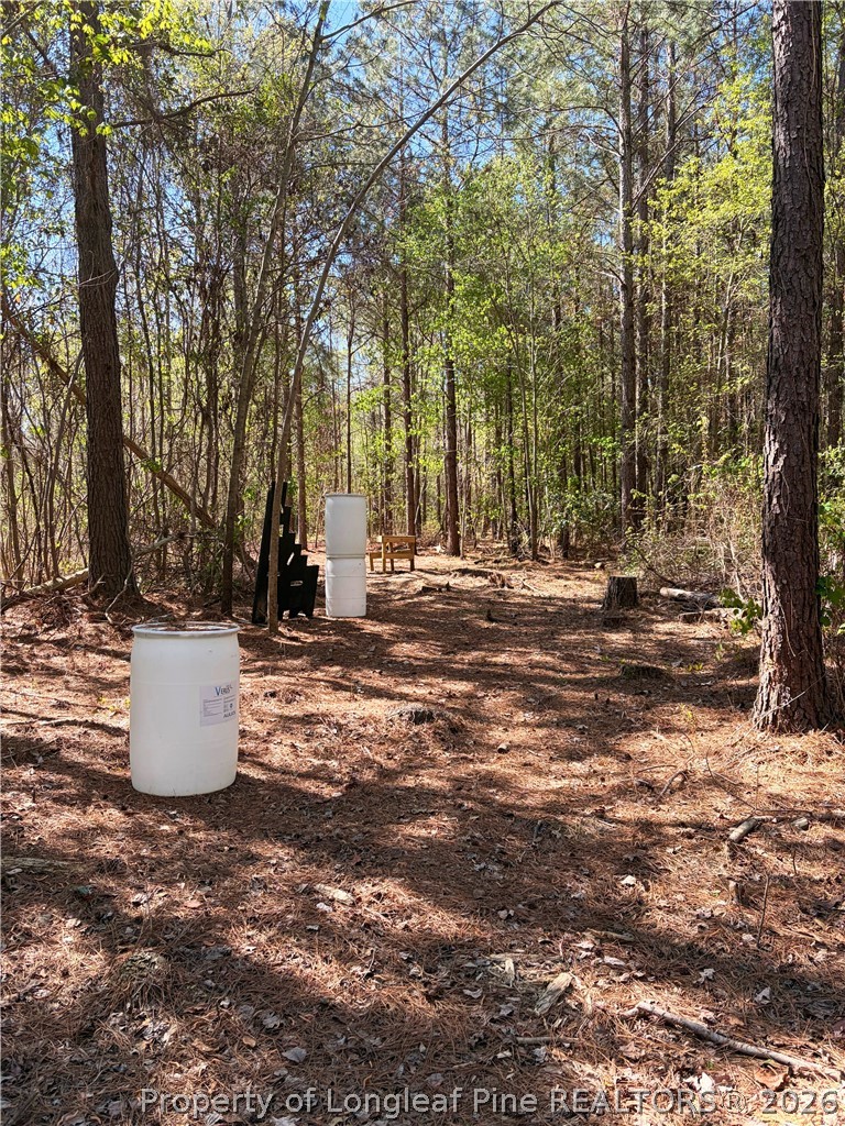 Clark Road Maxton, NC 28364 - Photo 15 of 17 a view of a yard with large trees