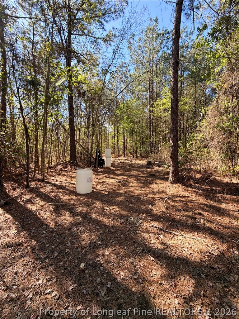 Clark Road Maxton, NC 28364 - Photo 16 of 17 a view of outdoor space with trees