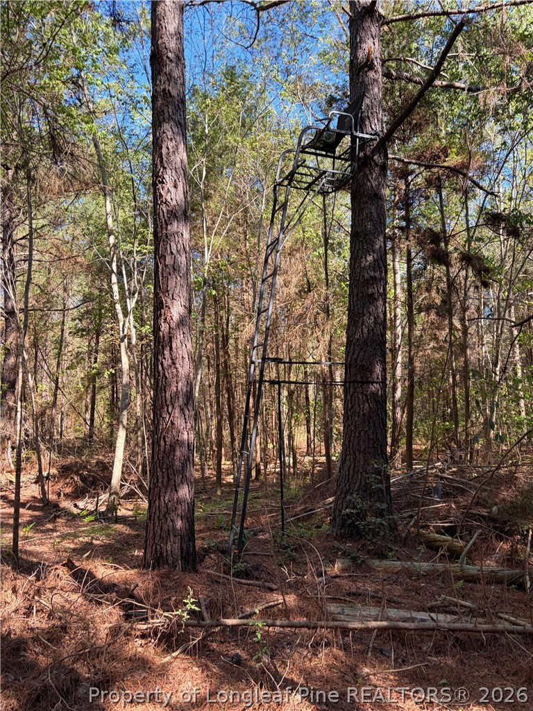 Clark Road Maxton, NC 28364 - Photo 2 of 17 a backyard of a house with lots of green space