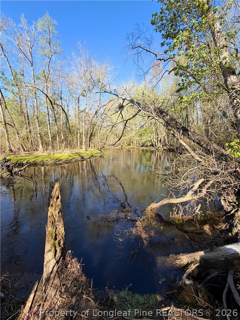 Clark Road Maxton, NC 28364 - Photo 5 of 17