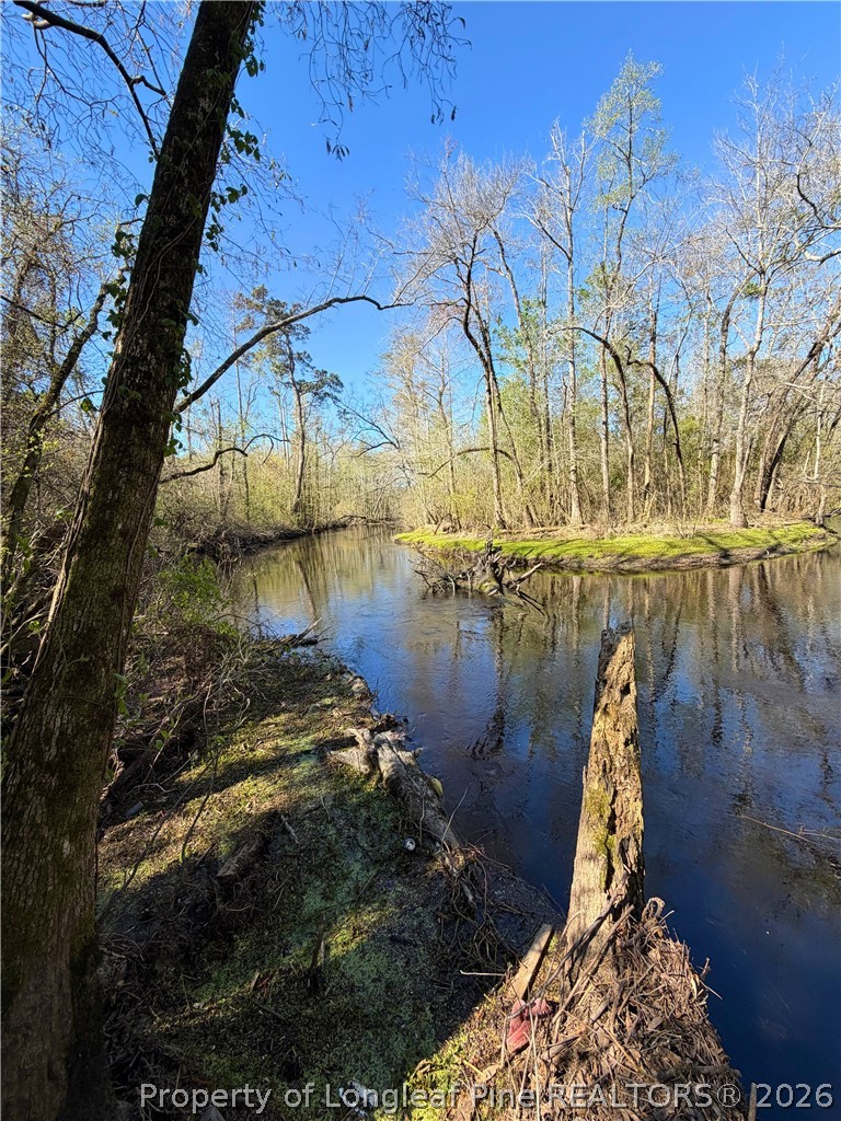 Clark Road Maxton, NC 28364 - Photo 6 of 17 a view of a lake