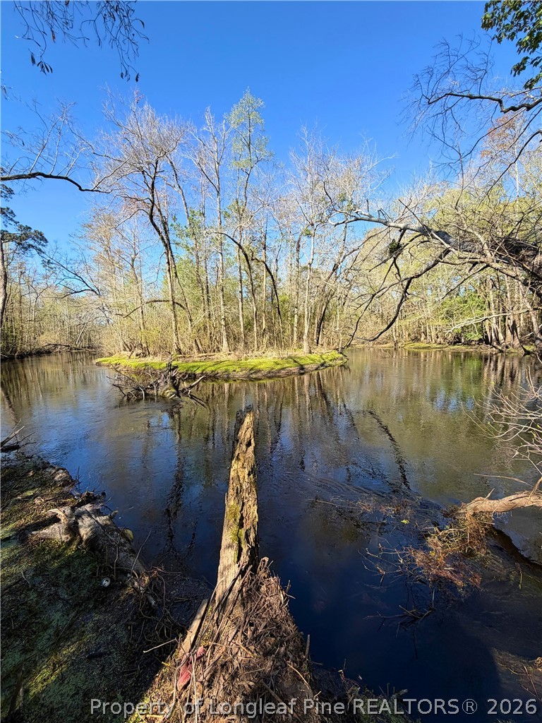 Clark Road Maxton, NC 28364 - Photo 7 of 17 a view of lake