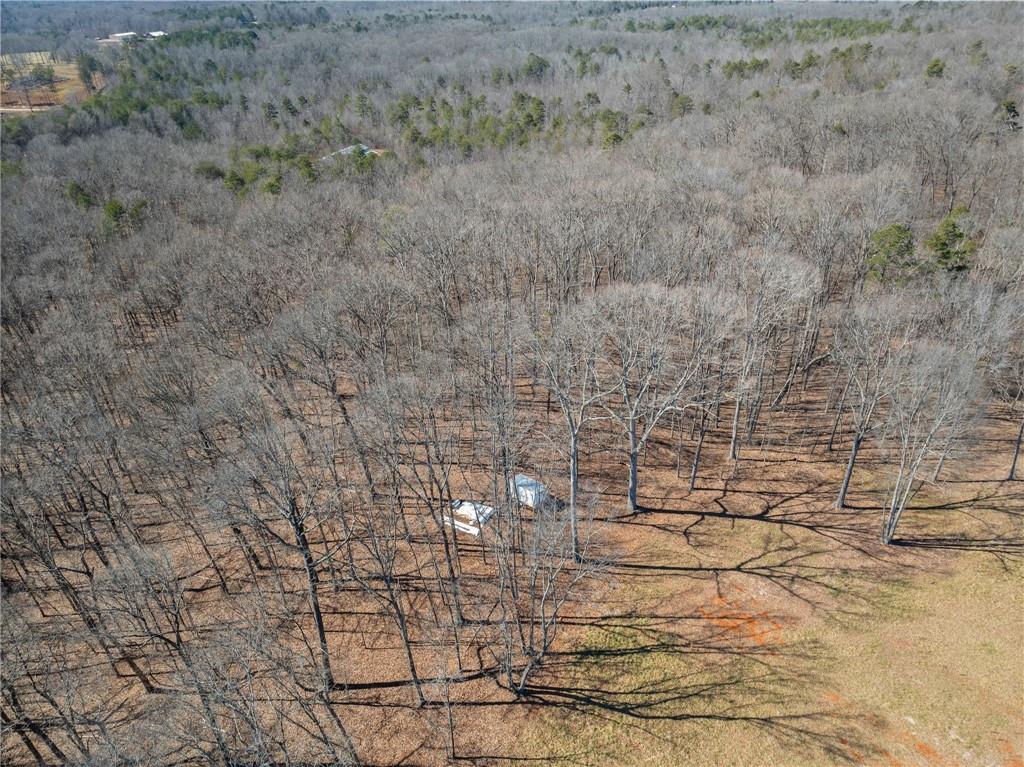 5419 Highway 320 Carnesville, GA 30521 - Photo 11 of 25 a bathroom with a shower