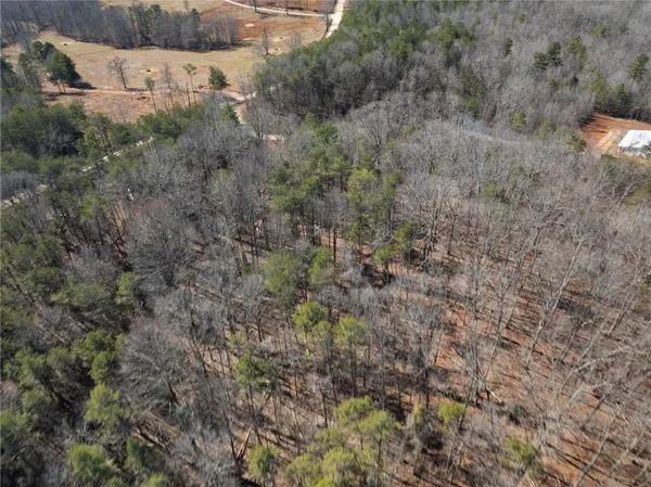 a view of a forest with a yard