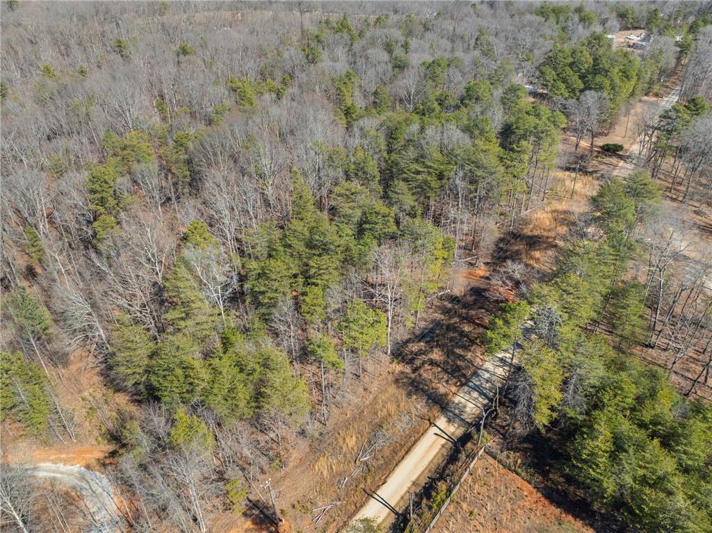 5419 Highway 320 Carnesville, GA 30521 - Photo 14 of 25 a view of a forest with a yard