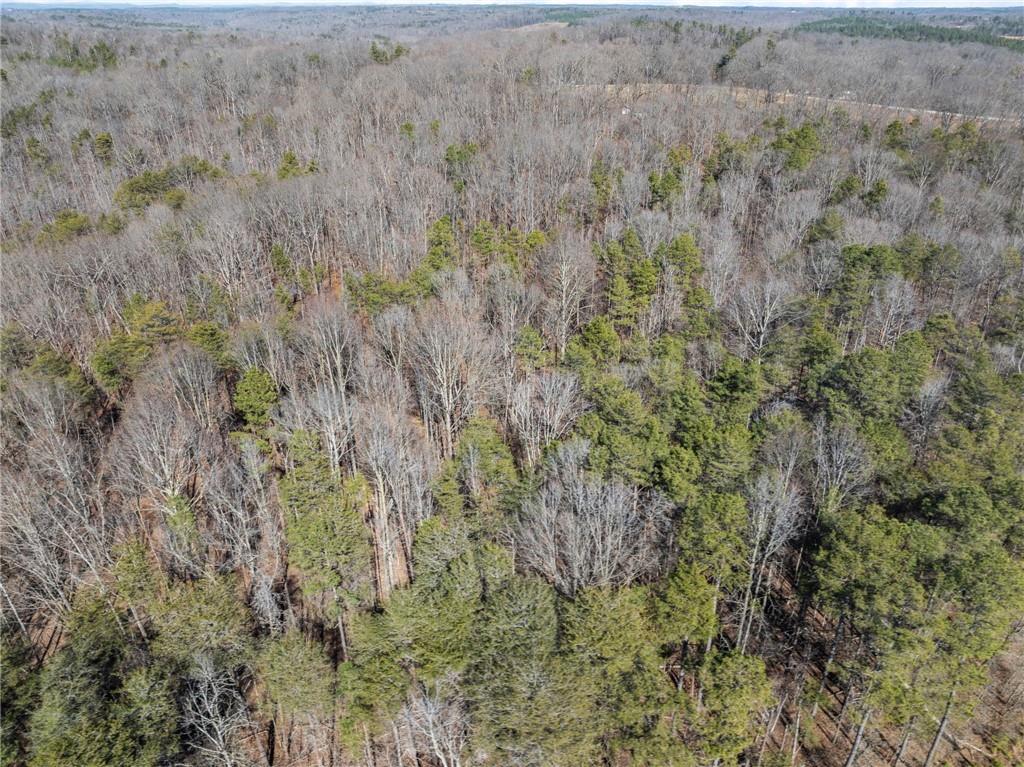5419 Highway 320 Carnesville, GA 30521 - Photo 15 of 25 a view of a dry yard with green space