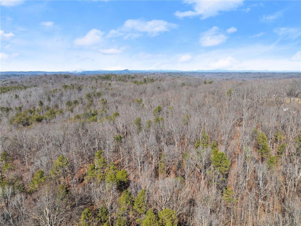 5419 Highway 320 Carnesville, GA 30521 - Photo 16 of 25 a view of mountain view with trees