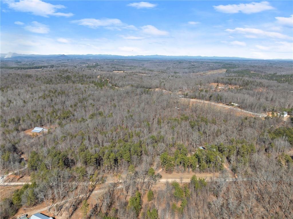 5419 Highway 320 Carnesville, GA 30521 - Photo 17 of 25 a view of city and green space