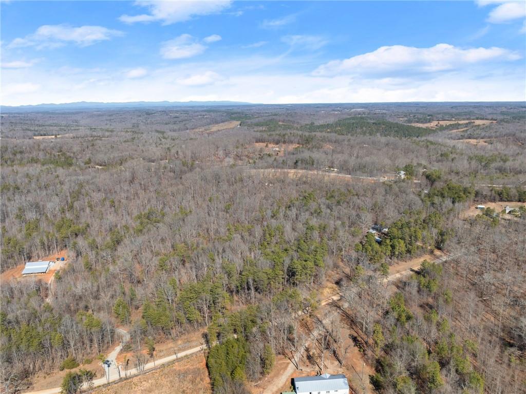 5419 Highway 320 Carnesville, GA 30521 - Photo 18 of 25 a view of city and green space